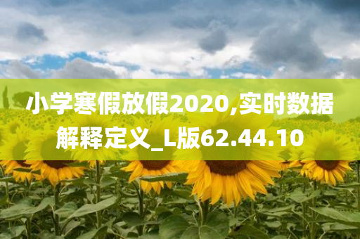 小学寒假放假2020,实时数据解释定义_L版62.44.10