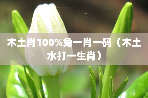 木土肖100%兔一肖一码（木土水打一生肖）