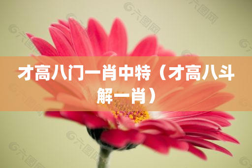 才高八门一肖中特（才高八斗解一肖）