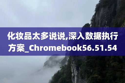 化妆品太多说说,深入数据执行方案_Chromebook56.51.54