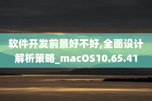 软件开发前景好不好,全面设计解析策略_macOS10.65.41