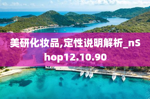 美研化妆品,定性说明解析_nShop12.10.90