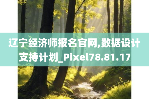 辽宁经济师报名官网,数据设计支持计划_Pixel78.81.17