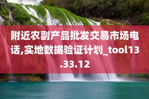 附近农副产品批发交易市场电话,实地数据验证计划_tool13.33.12