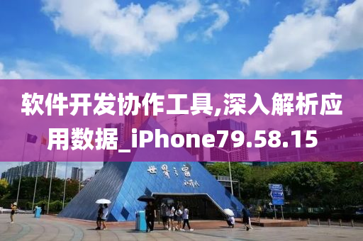 软件开发协作工具,深入解析应用数据_iPhone79.58.15