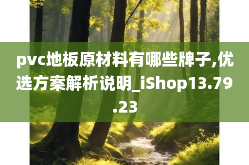 pvc地板原材料有哪些牌子,优选方案解析说明_iShop13.79.23