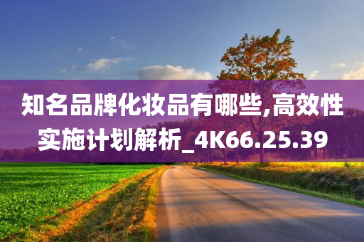 知名品牌化妆品有哪些,高效性实施计划解析_4K66.25.39