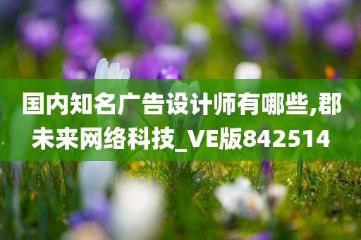 国内知名广告设计师有哪些,郡未来网络科技_VE版842514