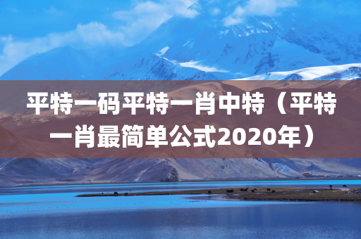 平特一码平特一肖中特（平特一肖最简单公式2020年）