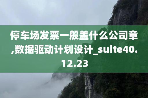 停车场发票一般盖什么公司章,数据驱动计划设计_suite40.12.23