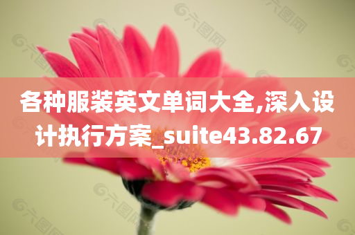 各种服装英文单词大全,深入设计执行方案_suite43.82.67