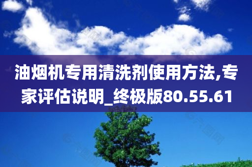 油烟机专用清洗剂使用方法,专家评估说明_终极版80.55.61