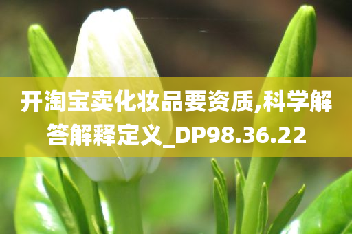 开淘宝卖化妆品要资质,科学解答解释定义_DP98.36.22