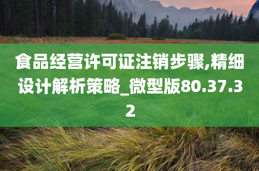 食品经营许可证注销步骤,精细设计解析策略_微型版80.37.32