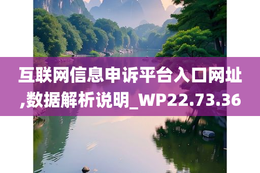 互联网信息申诉平台入口网址,数据解析说明_WP22.73.36