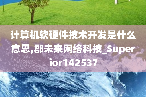 计算机软硬件技术开发是什么意思,郡未来网络科技_Superior142537