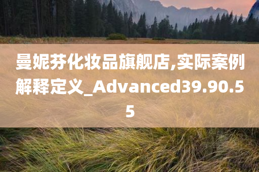 曼妮芬化妆品旗舰店,实际案例解释定义_Advanced39.90.55