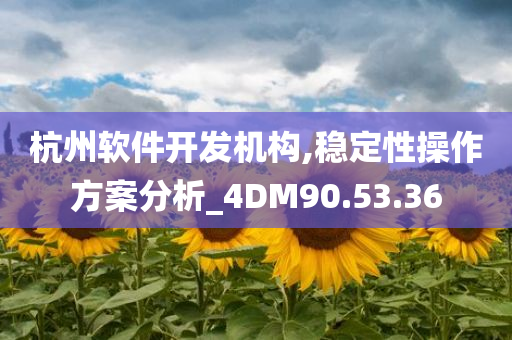 杭州软件开发机构,稳定性操作方案分析_4DM90.53.36