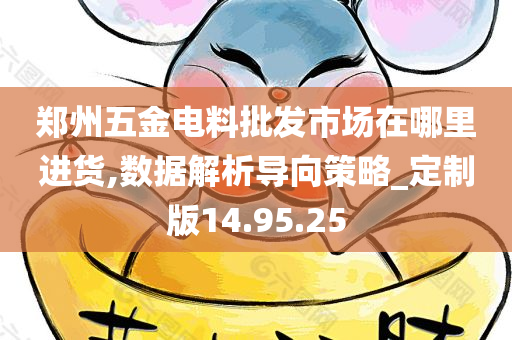 郑州五金电料批发市场在哪里进货,数据解析导向策略_定制版14.95.25