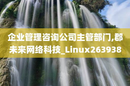 企业管理咨询公司主管部门,郡未来网络科技_Linux263938