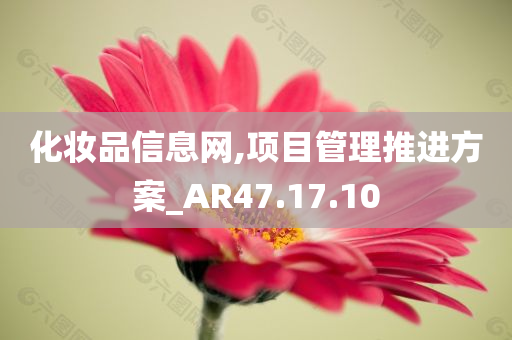 化妆品信息网,项目管理推进方案_AR47.17.10