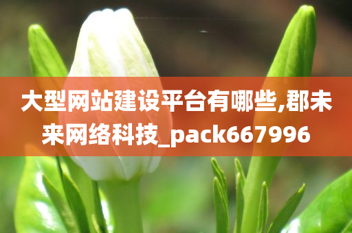 大型网站建设平台有哪些,郡未来网络科技_pack667996