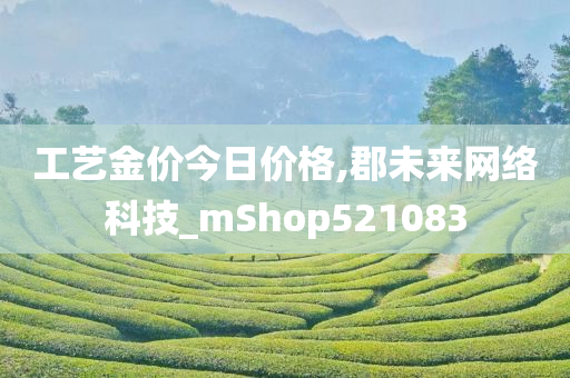 工艺金价今日价格,郡未来网络科技_mShop521083