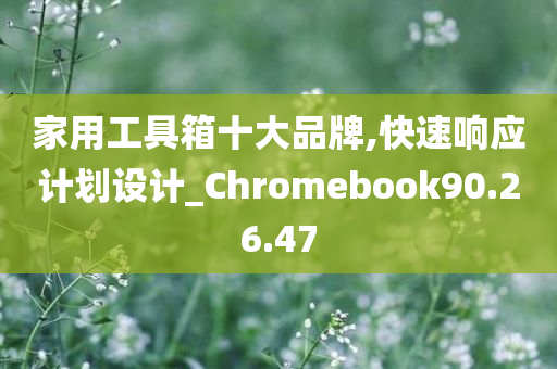 家用工具箱十大品牌,快速响应计划设计_Chromebook90.26.47