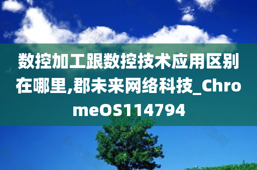 数控加工跟数控技术应用区别在哪里,郡未来网络科技_ChromeOS114794