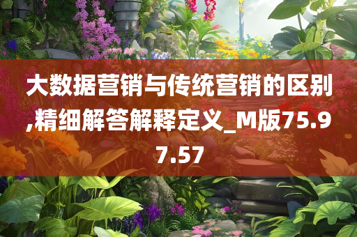 大数据营销与传统营销的区别,精细解答解释定义_M版75.97.57