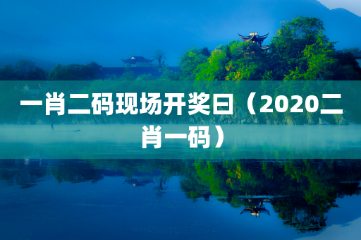 一肖二码现场开奖曰（2020二肖一码）