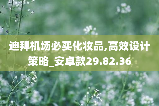 迪拜机场必买化妆品,高效设计策略_安卓款29.82.36