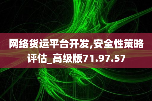 网络货运平台开发,安全性策略评估_高级版71.97.57