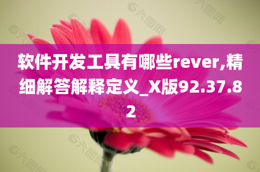 软件开发工具有哪些rever,精细解答解释定义_X版92.37.82