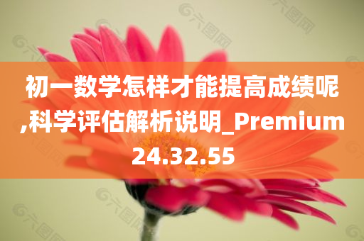 初一数学怎样才能提高成绩呢,科学评估解析说明_Premium24.32.55