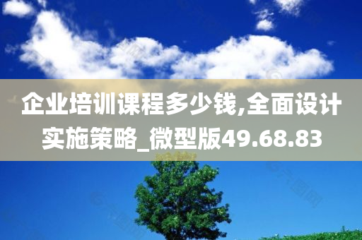 企业培训课程多少钱,全面设计实施策略_微型版49.68.83