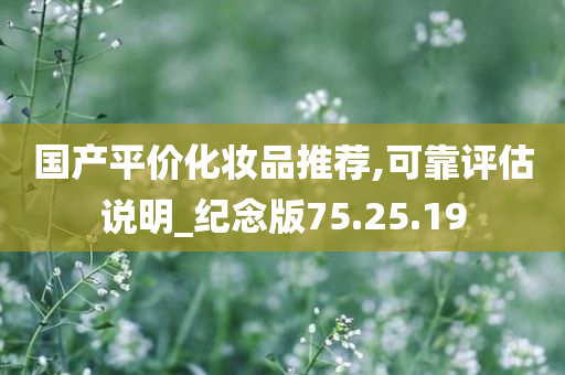 国产平价化妆品推荐,可靠评估说明_纪念版75.25.19