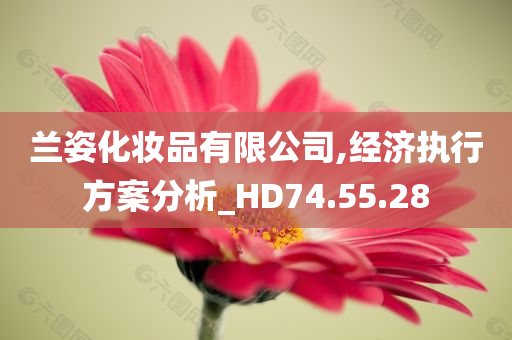 兰姿化妆品有限公司,经济执行方案分析_HD74.55.28