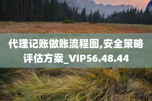 代理记账做账流程图,安全策略评估方案_VIP56.48.44