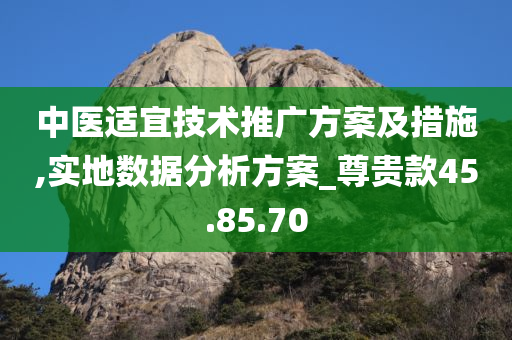 中医适宜技术推广方案及措施,实地数据分析方案_尊贵款45.85.70