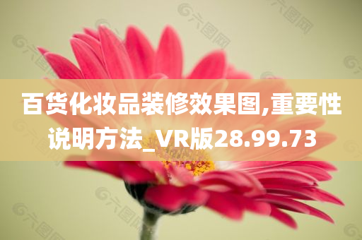 百货化妆品装修效果图,重要性说明方法_VR版28.99.73