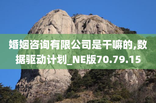 婚姻咨询有限公司是干嘛的,数据驱动计划_NE版70.79.15