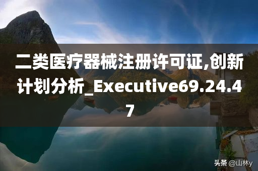 二类医疗器械注册许可证,创新计划分析_Executive69.24.47