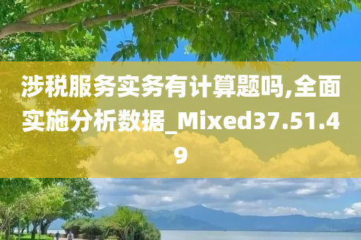 涉税服务实务有计算题吗,全面实施分析数据_Mixed37.51.49