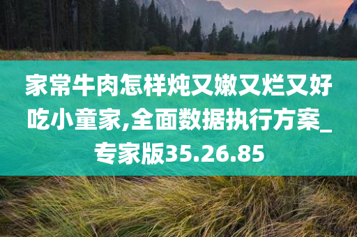 家常牛肉怎样炖又嫩又烂又好吃小童家,全面数据执行方案_专家版35.26.85