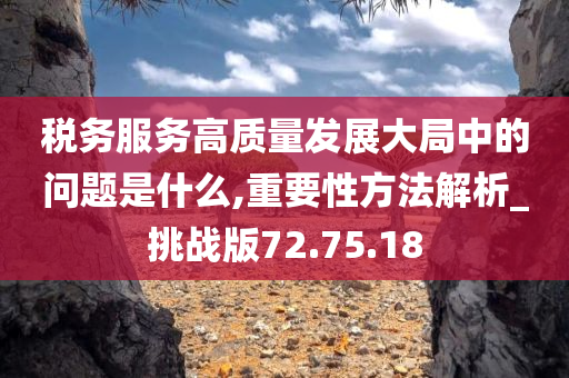 税务服务高质量发展大局中的问题是什么,重要性方法解析_挑战版72.75.18