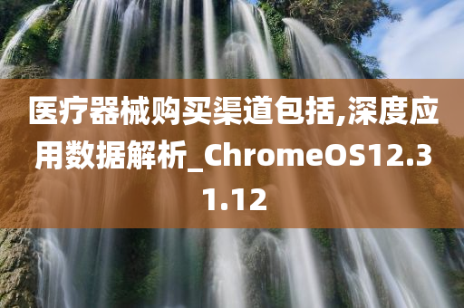 医疗器械购买渠道包括,深度应用数据解析_ChromeOS12.31.12