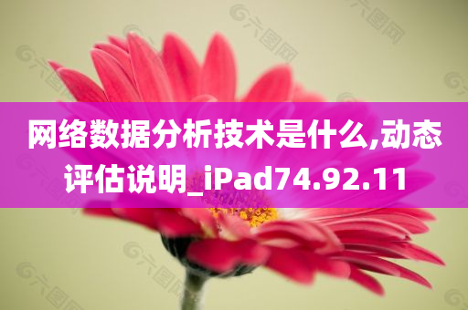 网络数据分析技术是什么,动态评估说明_iPad74.92.11