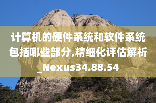 计算机的硬件系统和软件系统包括哪些部分,精细化评估解析_Nexus34.88.54