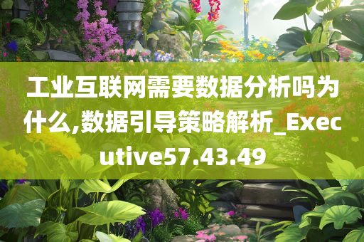 工业互联网需要数据分析吗为什么,数据引导策略解析_Executive57.43.49